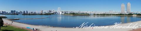 DSC00345.jpg