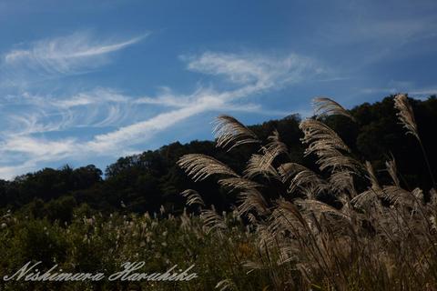 IMG_5585.jpg