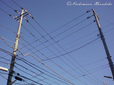 20091115100944.jpg