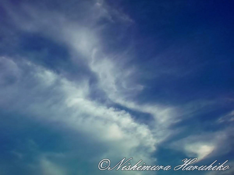 20120806181543.jpg