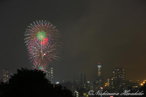 3A8A0017.jpg