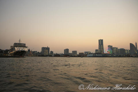 3A8A0039.jpg