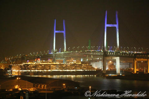 3A8A0163.jpg