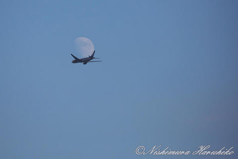 3A8A0328.jpg