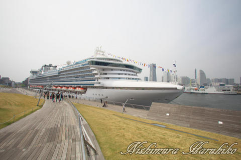 3A8A0453.jpg