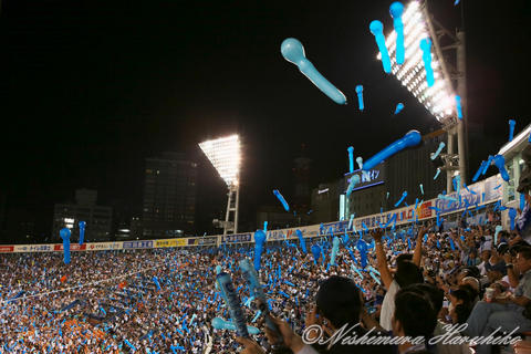 3A8A1045.jpg