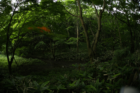 3A8A1345b.jpg