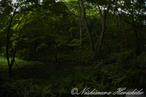 3A8A1349a.jpg