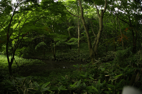 3A8A1349b.jpg