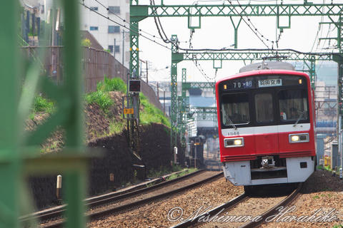 3A8A2039.jpg