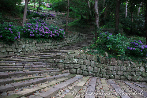 3A8A3282.jpg