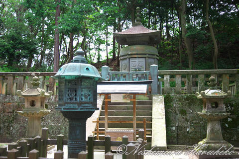 3A8A3390.jpg