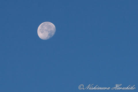 3A8A4105.jpg