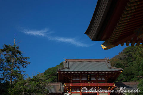 3A8A4586.jpg
