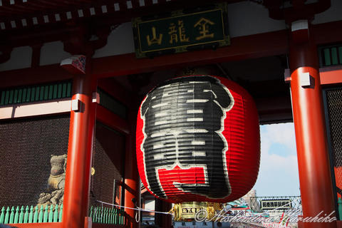 3A8A5550.jpg