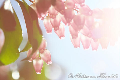 3A8A8309.jpg