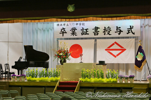 3A8A8903.jpg