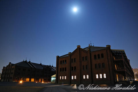 3A8A9517.jpg