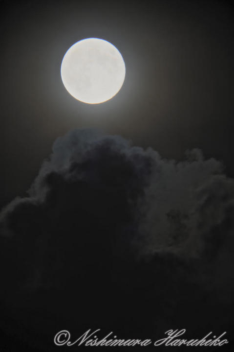 3A8A9816.jpg