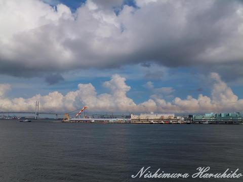 DSCF0359.jpg