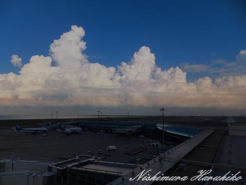 DSCF0407.jpg