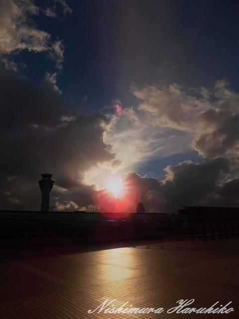 DSCF0481.jpg