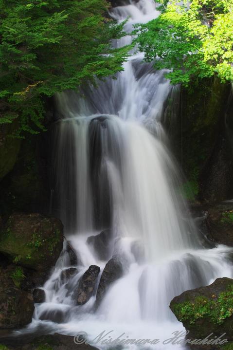 DSC_0523.jpg