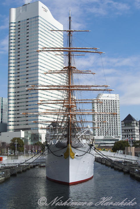 DSC_4164.jpg