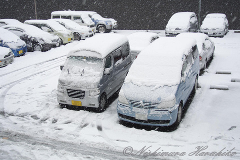 DSC_6169.jpg