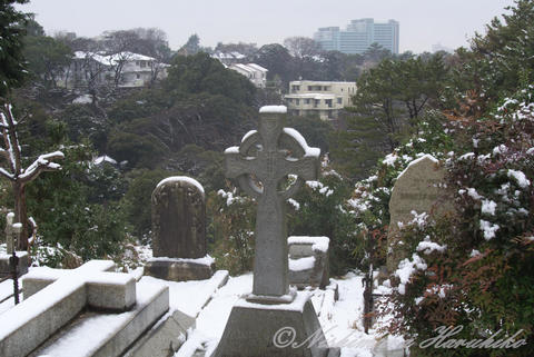 DSC_6283.jpg