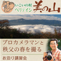 ブログ用バナー.jpg