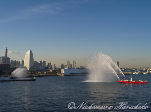 IMGP0116.jpg