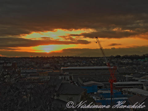 IMGP0165.jpg