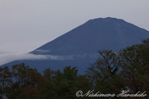 IMG_0006.jpg