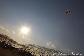 IMG_0142.jpg