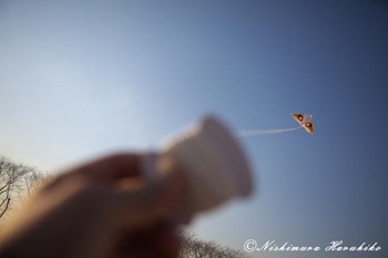 IMG_0173.jpg