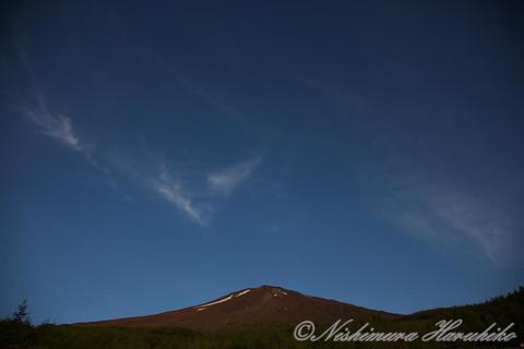 IMG_0375.jpg