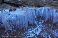 IMG_0396a.jpg