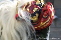 IMG_0591a.jpg