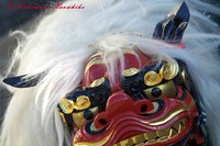 IMG_0596a.jpg
