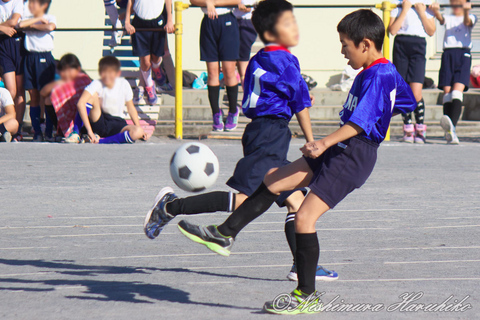 IMG_0597a.jpg