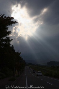 IMG_0602.jpg