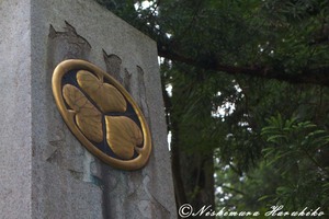 IMG_0641.jpg