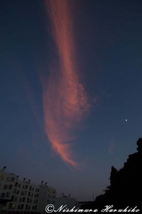 IMG_1035.jpg