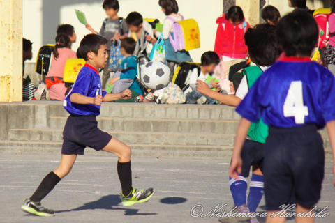 IMG_1042a.jpg