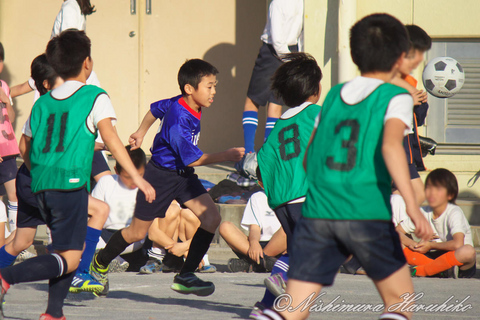 IMG_1044a.jpg