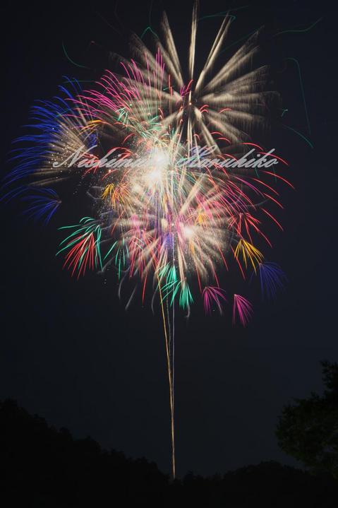 IMG_1106.jpg