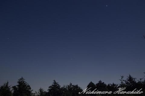 IMG_1175.jpg