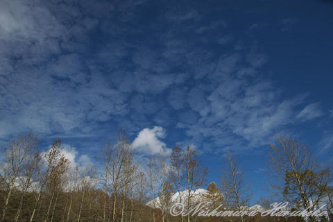 IMG_1181.jpg