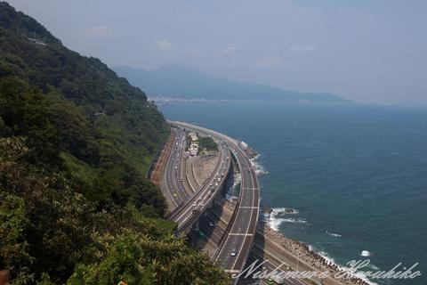 IMG_1200.jpg
